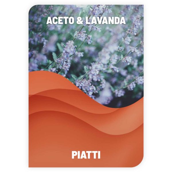 Lavapiatti Aceto & Lavanda