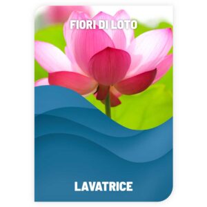 Lavatrice Fiori di Loto