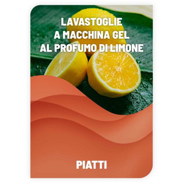 Lavastoviglie a Macchina GEL  uso domestico