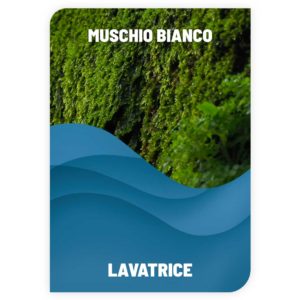 Lavatrice Muschio Bianco
