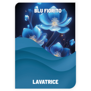 Lavatrice Blu Fiorito